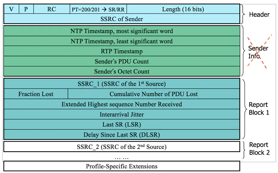 RTCP packet